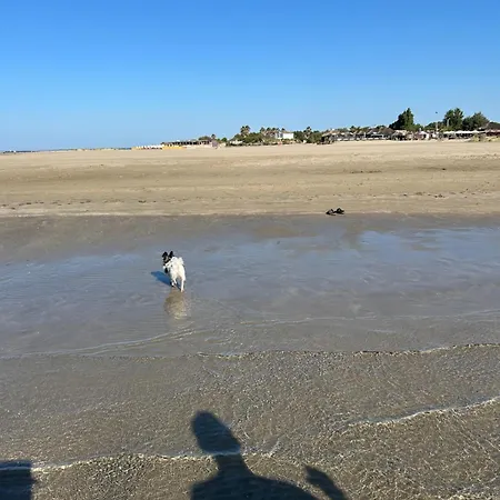 Kamp alanı Les Dunes *